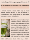 E-book - Fakty i mity - Zdrowie i dieta - E-book (PDF)