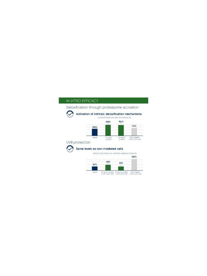 Serum na porost włosów-  dla mężczyzn - sklep internetowy